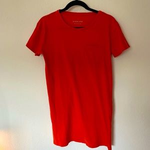 Everlane T shirt dress